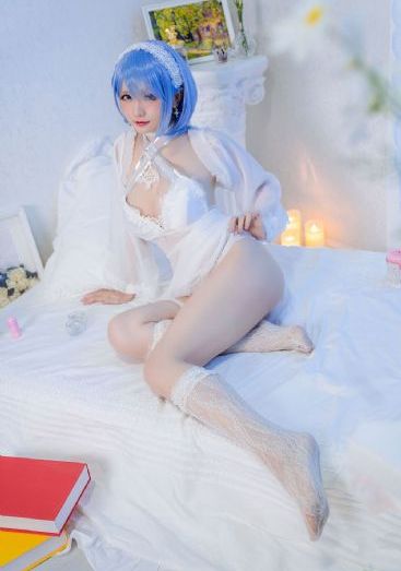 二十九